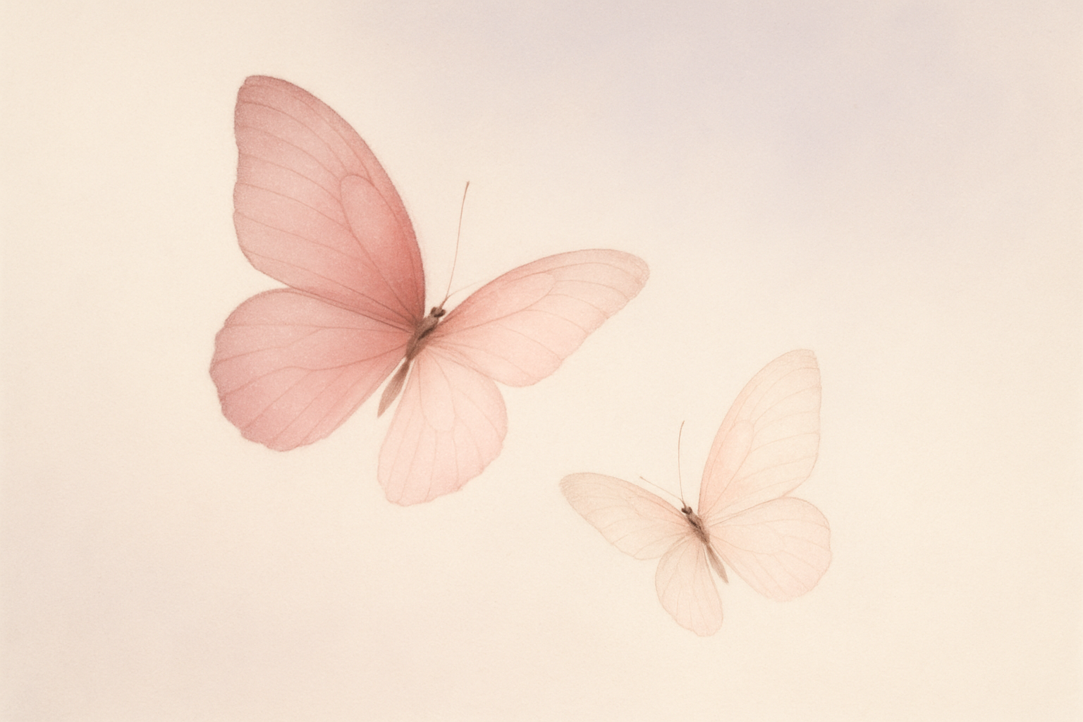 only two butterflies