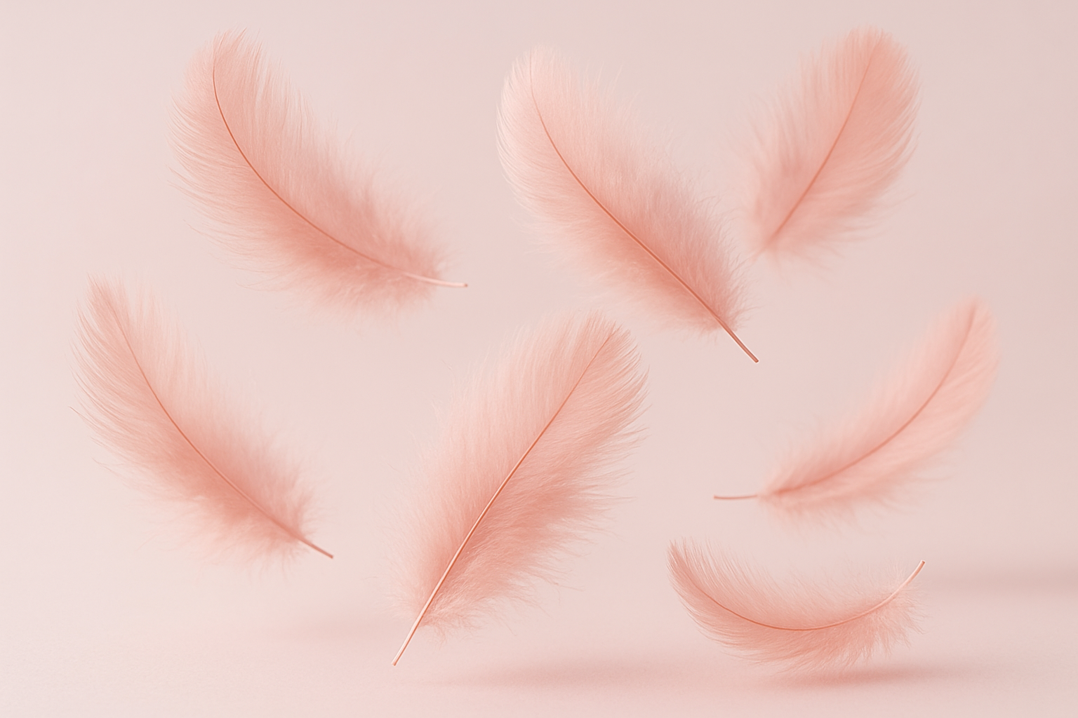 soft pink feathers